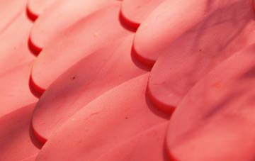 Eartham plastic roof costs