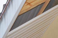 rated Eartham soffit repair companies